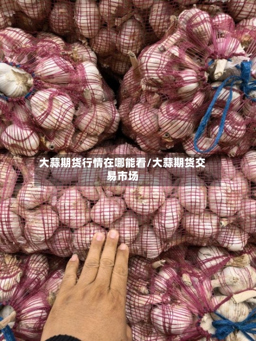 大蒜期货行情在哪能看/大蒜期货交易市场-第2张图片