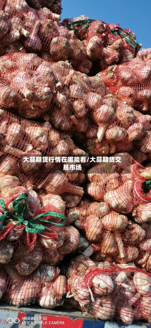 大蒜期货行情在哪能看/大蒜期货交易市场-第3张图片