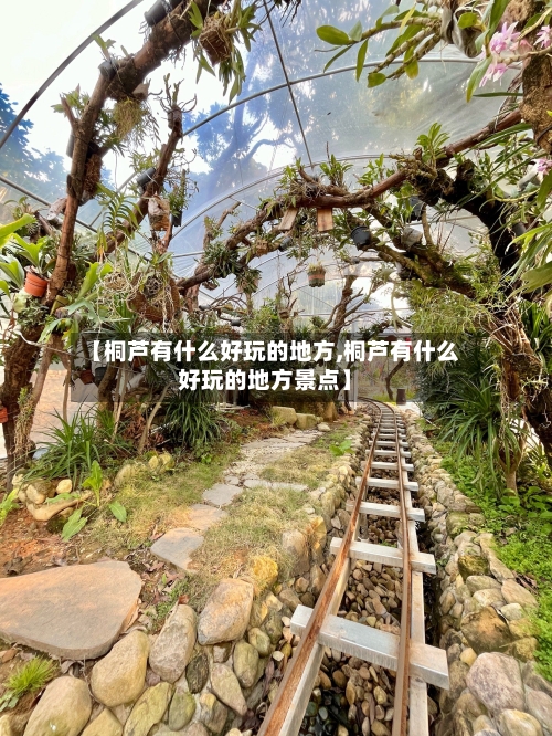 【桐芦有什么好玩的地方,桐芦有什么好玩的地方景点】