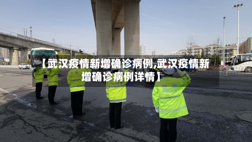 【武汉疫情新增确诊病例,武汉疫情新增确诊病例详情】