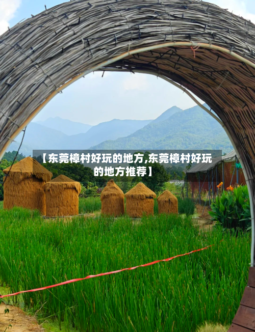 【东莞樟村好玩的地方,东莞樟村好玩的地方推荐】