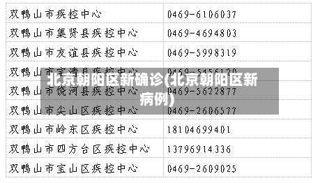 北京朝阳区新确诊(北京朝阳区新病例)-第1张图片