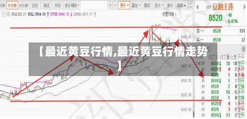 【最近黄豆行情,最近黄豆行情走势】