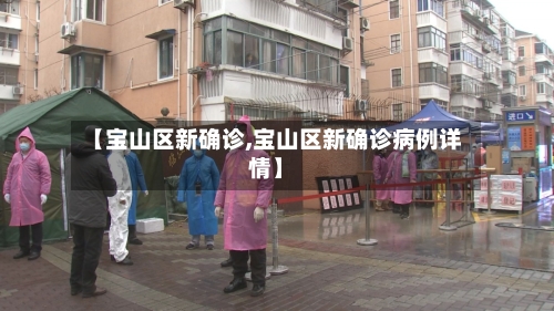 【宝山区新确诊,宝山区新确诊病例详情】-第2张图片