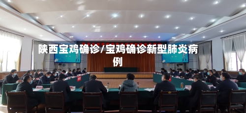 陕西宝鸡确诊/宝鸡确诊新型肺炎病例-第2张图片