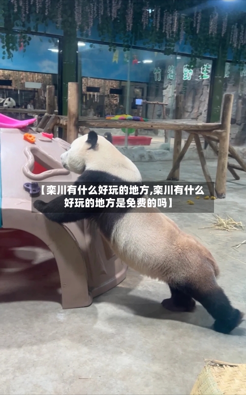 【栾川有什么好玩的地方,栾川有什么好玩的地方是免费的吗】-第3张图片
