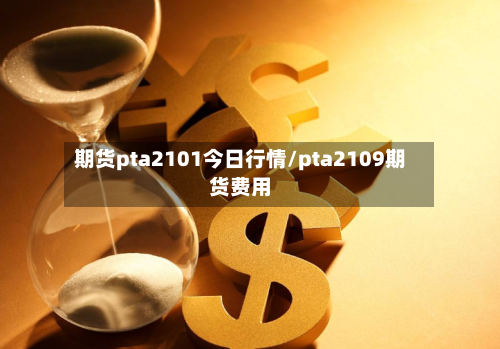 期货pta2101今日行情/pta2109期货费用