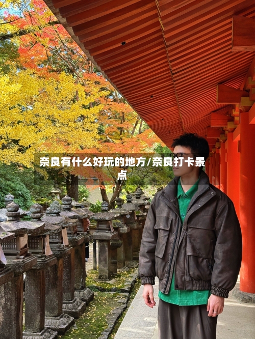 奈良有什么好玩的地方/奈良打卡景点-第3张图片