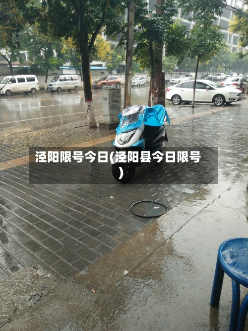 泾阳限号今日(泾阳县今日限号)