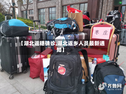 【湖北返穗确诊,湖北返乡人员最新通知】-第2张图片