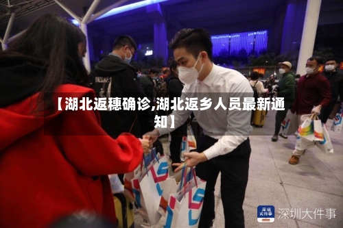 【湖北返穗确诊,湖北返乡人员最新通知】-第3张图片