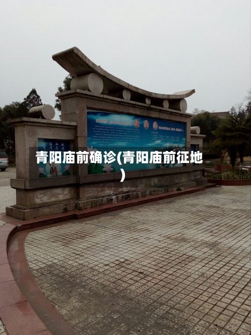 青阳庙前确诊(青阳庙前征地)-第2张图片