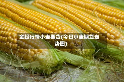 金投行情小麦期货(今日小麦期货走势图)-第2张图片