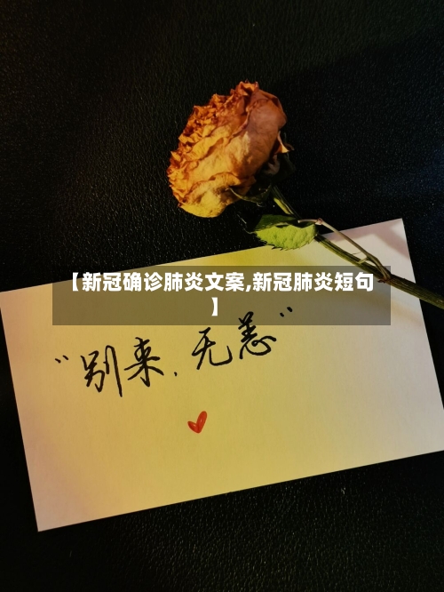 【新冠确诊肺炎文案,新冠肺炎短句】-第3张图片