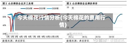今天棉花行情分析(今天棉花的费用行情)-第3张图片