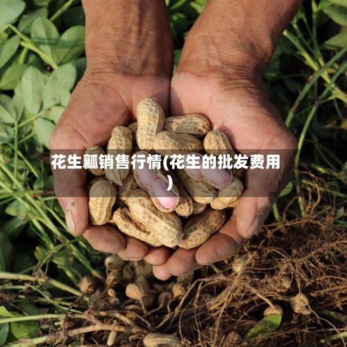 花生瓤销售行情(花生的批发费用)-第3张图片