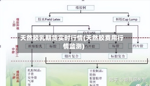 天然胶乳期货实时行情(天然胶费用行情监测)