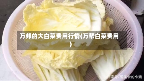 万邦的大白菜费用行情(万帮白菜费用)
