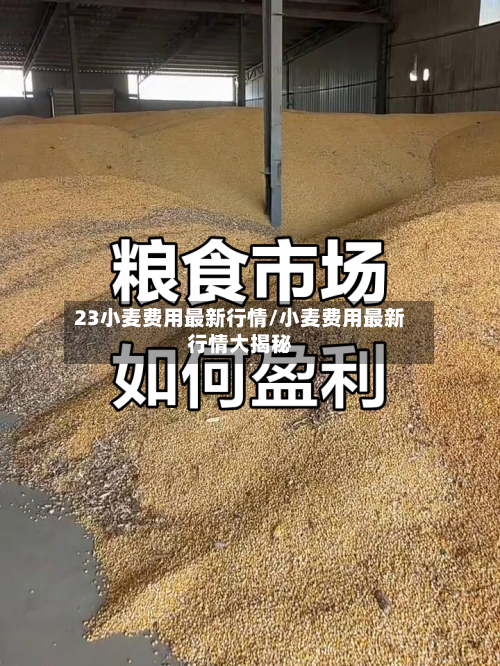 23小麦费用最新行情/小麦费用最新行情大揭秘-第2张图片