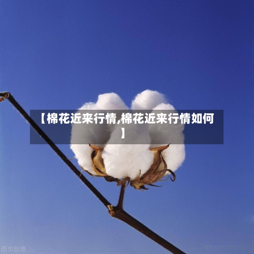 【棉花近来行情,棉花近来行情如何】-第2张图片