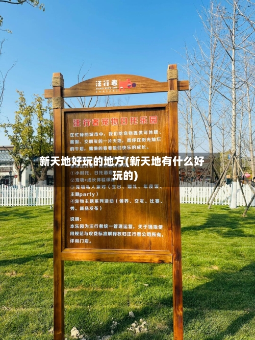 新天地好玩的地方(新天地有什么好玩的)-第2张图片