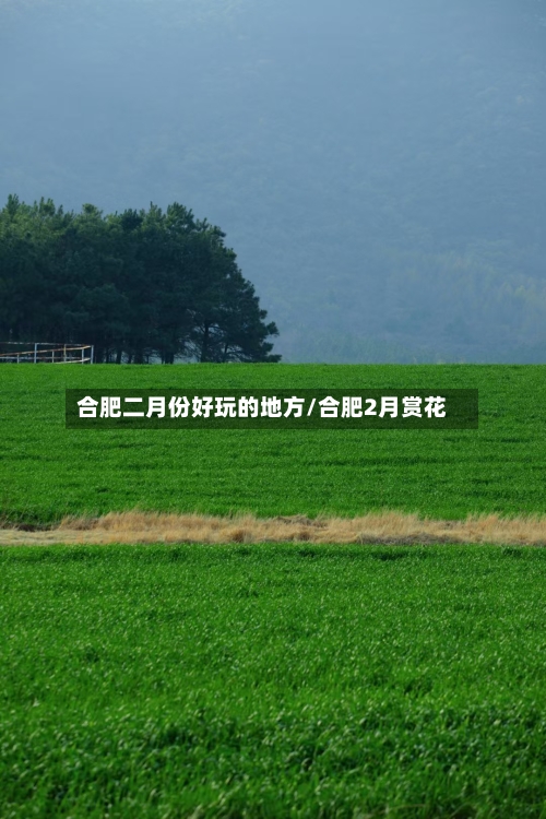 合肥二月份好玩的地方/合肥2月赏花-第3张图片