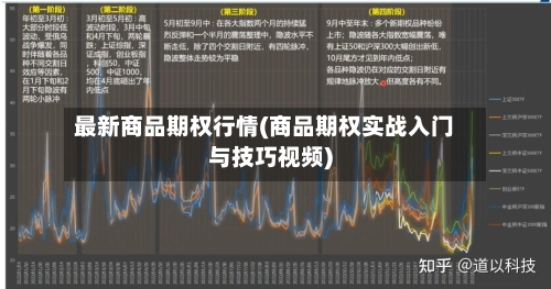 最新商品期权行情(商品期权实战入门与技巧视频)-第3张图片