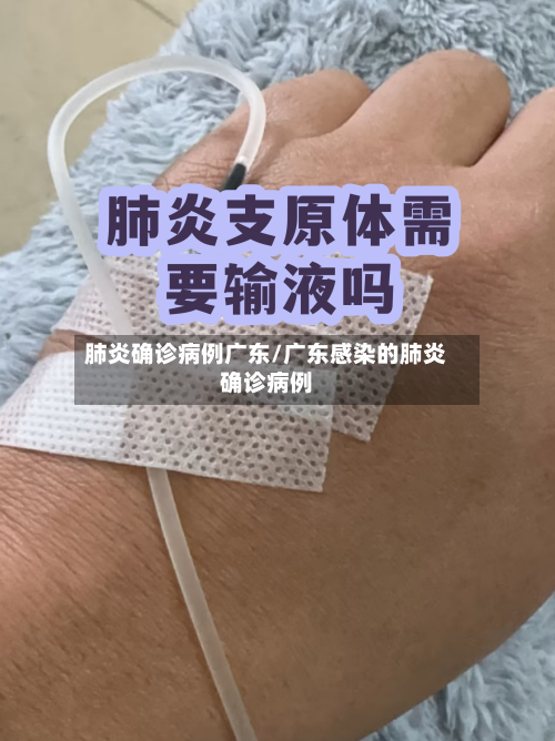 肺炎确诊病例广东/广东感染的肺炎确诊病例-第3张图片