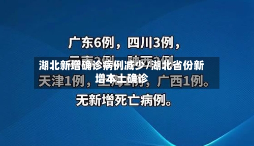 湖北新增确诊病例减少/湖北省份新增本土确诊