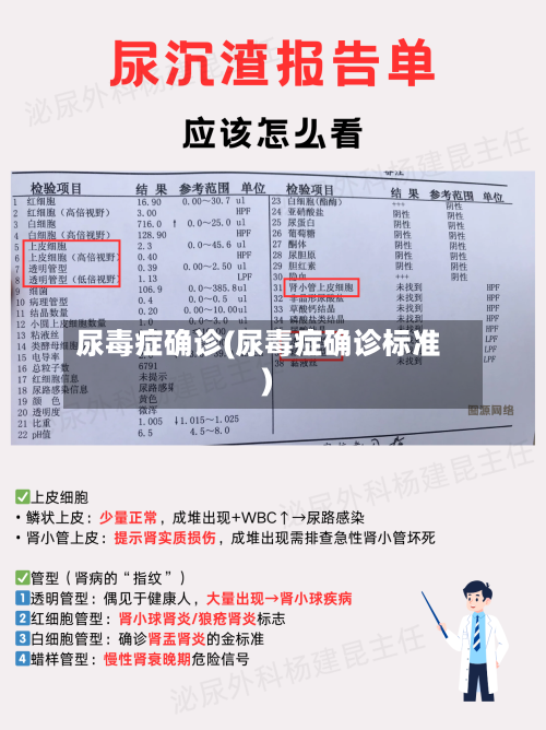 尿毒症确诊(尿毒症确诊标准)-第2张图片