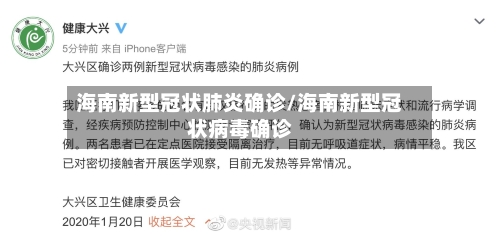 海南新型冠状肺炎确诊/海南新型冠状病毒确诊