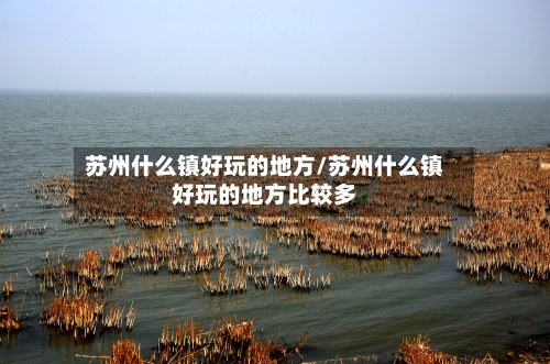 苏州什么镇好玩的地方/苏州什么镇好玩的地方比较多-第2张图片