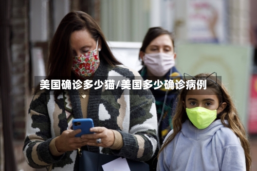美国确诊多少猫/美国多少确诊病例