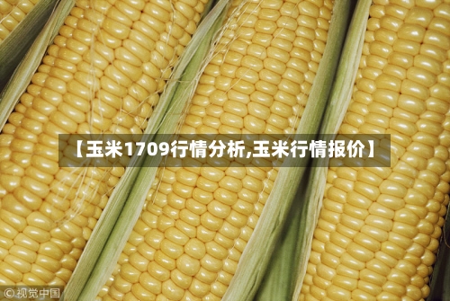 【玉米1709行情分析,玉米行情报价】