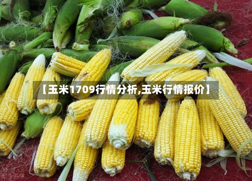 【玉米1709行情分析,玉米行情报价】-第2张图片