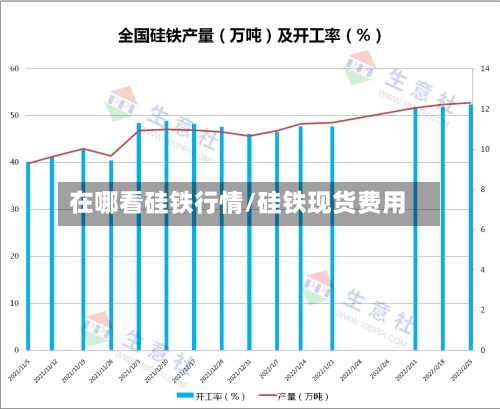在哪看硅铁行情/硅铁现货费用