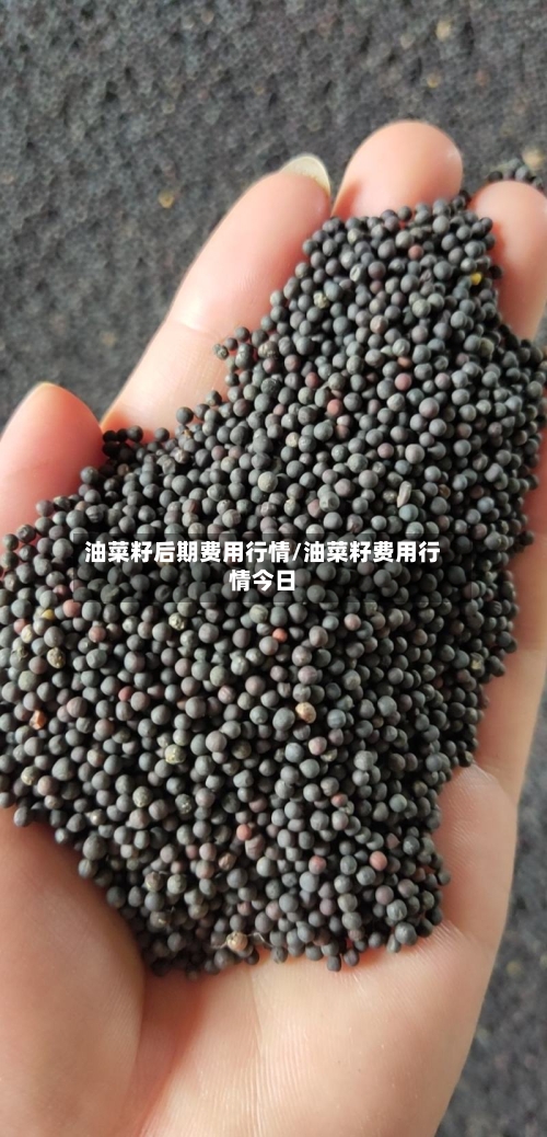 油菜籽后期费用行情/油菜籽费用行情今日-第2张图片