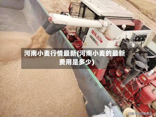 河南小麦行情最新(河南小麦的最新费用是多少)