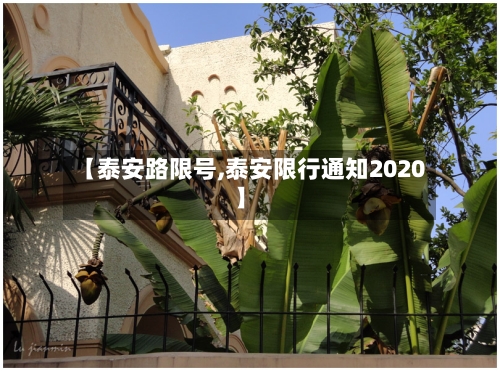 【泰安路限号,泰安限行通知2020】-第2张图片