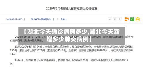 【湖北今天确诊病例多少,湖北今天新增多少肺炎病例】