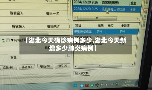 【湖北今天确诊病例多少,湖北今天新增多少肺炎病例】-第2张图片