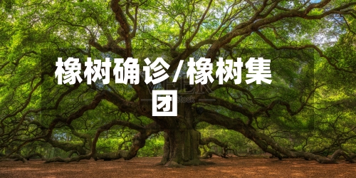 橡树确诊/橡树集团-第3张图片