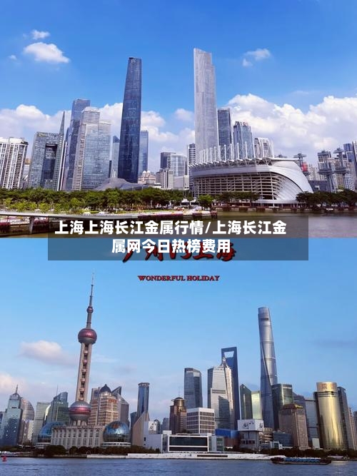 上海上海长江金属行情/上海长江金属网今日热榜费用-第3张图片