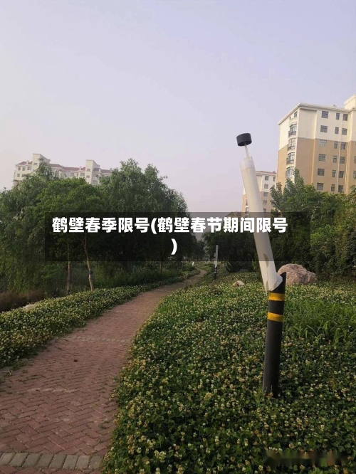 鹤壁春季限号(鹤壁春节期间限号)-第2张图片