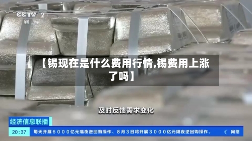【锡现在是什么费用行情,锡费用上涨了吗】-第2张图片