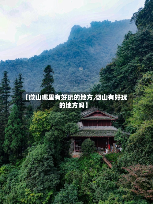 【微山哪里有好玩的地方,微山有好玩的地方吗】-第2张图片