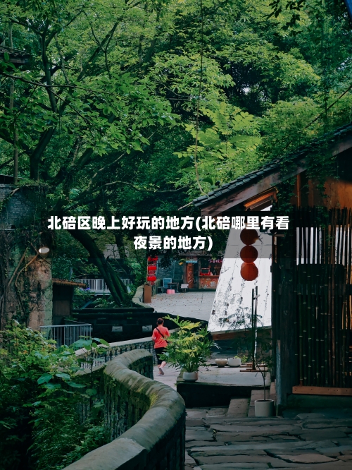 北碚区晚上好玩的地方(北碚哪里有看夜景的地方)