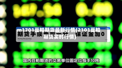 m1701豆粕期货最新行情(2101豆粕期货实时行情)