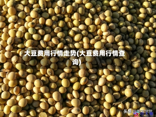 大豆费用行情走势(大豆费用行情查询)-第2张图片