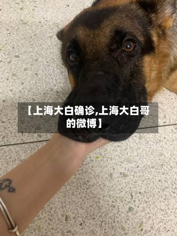 【上海大白确诊,上海大白哥的微博】-第2张图片